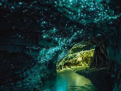 Discover Waitomo