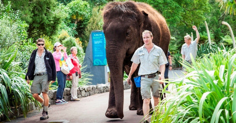 9.Auckland Zoo