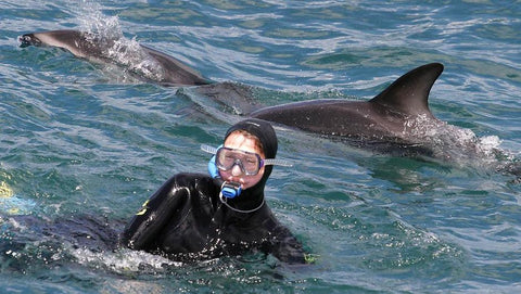 Dolphin Encounter