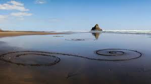 7.Bush and Beach Coast and Rainforest Walk - Full Day Tour