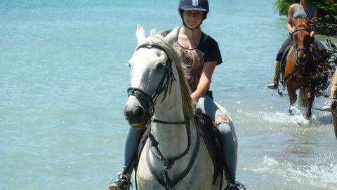Waiheke Horse Tours