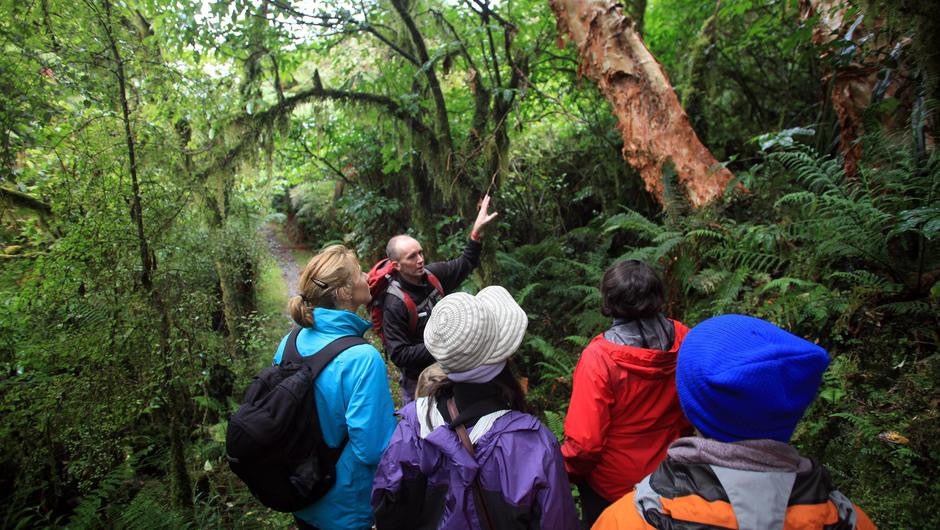 Fiordland Great Walk Package - Trips & Tramps
