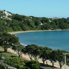 怀赫科岛葡萄酒观光