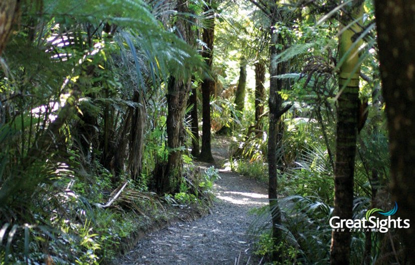 West Coast Wilderness Experience - GreatSights New Zealand