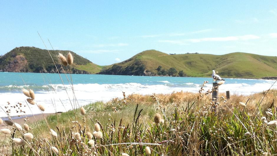 Coromandel Ultimate Walks 4 Day Package