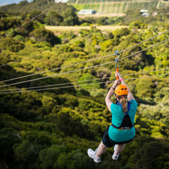 生态索道探险 - 怀赫科岛
