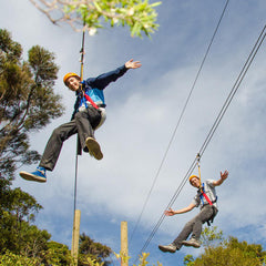 生态索道探险 - 怀赫科岛